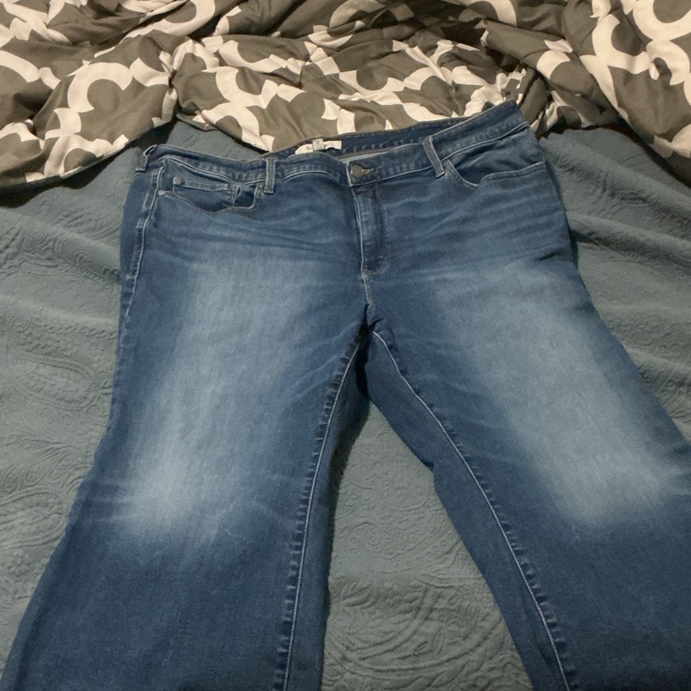 Belle Island by Torrid Women's Straight Leg Blue Jeans cropped
